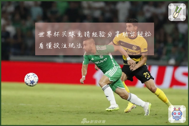 世界杯买球竞猜经验分享助你轻松看懂投注玩法
