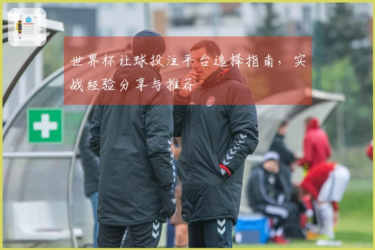 世界杯让球投注平台选择指南，实战经验分享与推荐