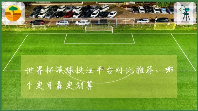 世界杯滚球投注平台对比推荐，哪个更可靠更划算