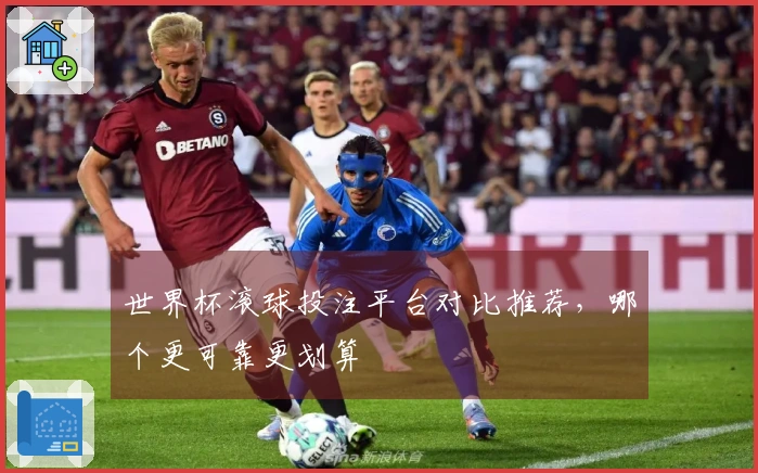世界杯滚球投注平台对比推荐，哪个更可靠更划算