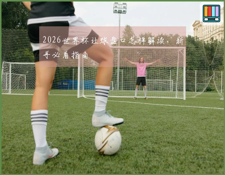 2026世界杯让球盘口怎样解读，新手必看指南