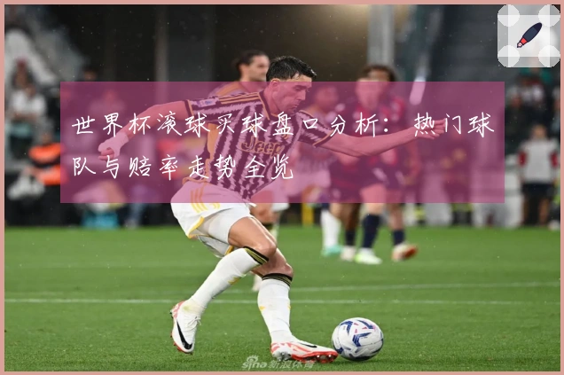 世界杯滚球买球盘口分析：热门球队与赔率走势全览